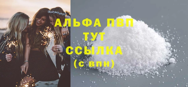 индика Вяземский
