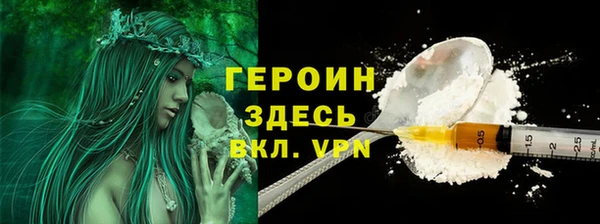 индика Вяземский