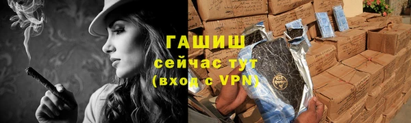 индика Вяземский