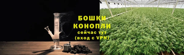 индика Вяземский