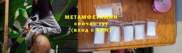 индика Вяземский
