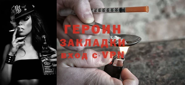 индика Вяземский