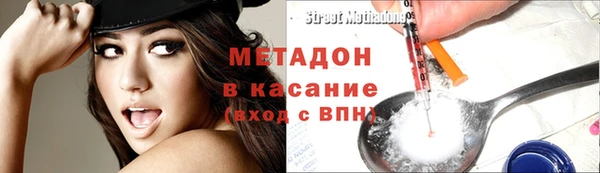 индика Вяземский