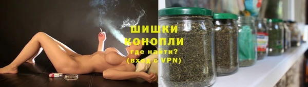индика Вяземский