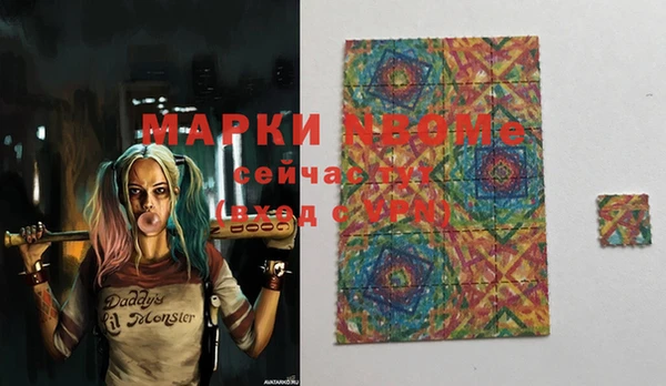 индика Вяземский