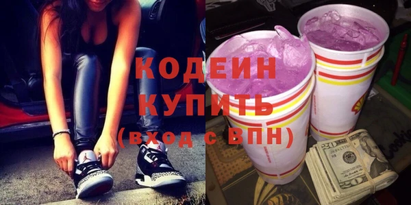 индика Вяземский