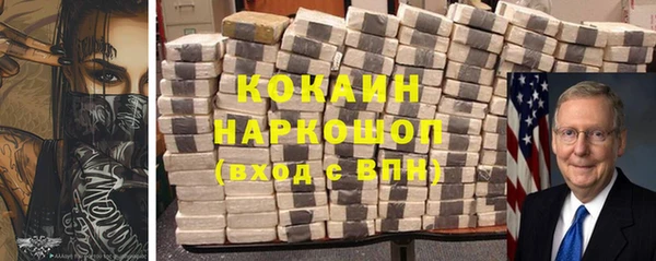 индика Вяземский