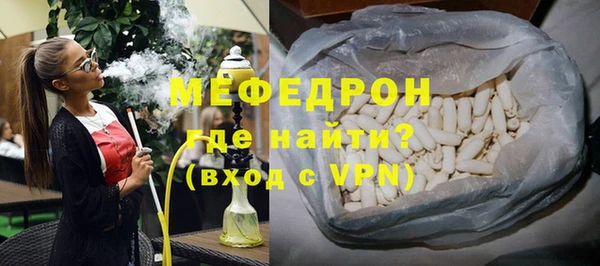 индика Вяземский