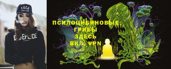 индика Вяземский