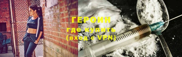 индика Вяземский
