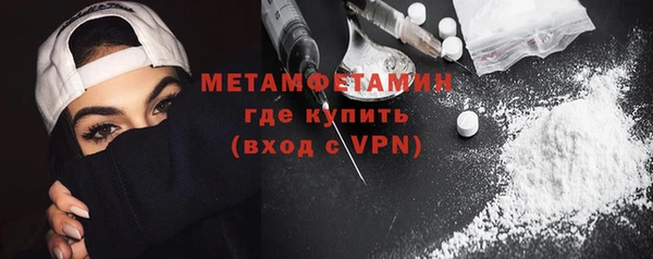 индика Вяземский